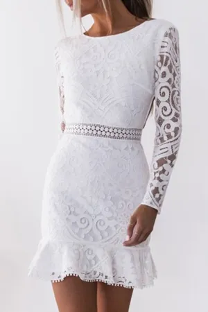 Elegant Solid Hollowed Out Frenulum Backless O Neck Wrapped Skirt Dresses
