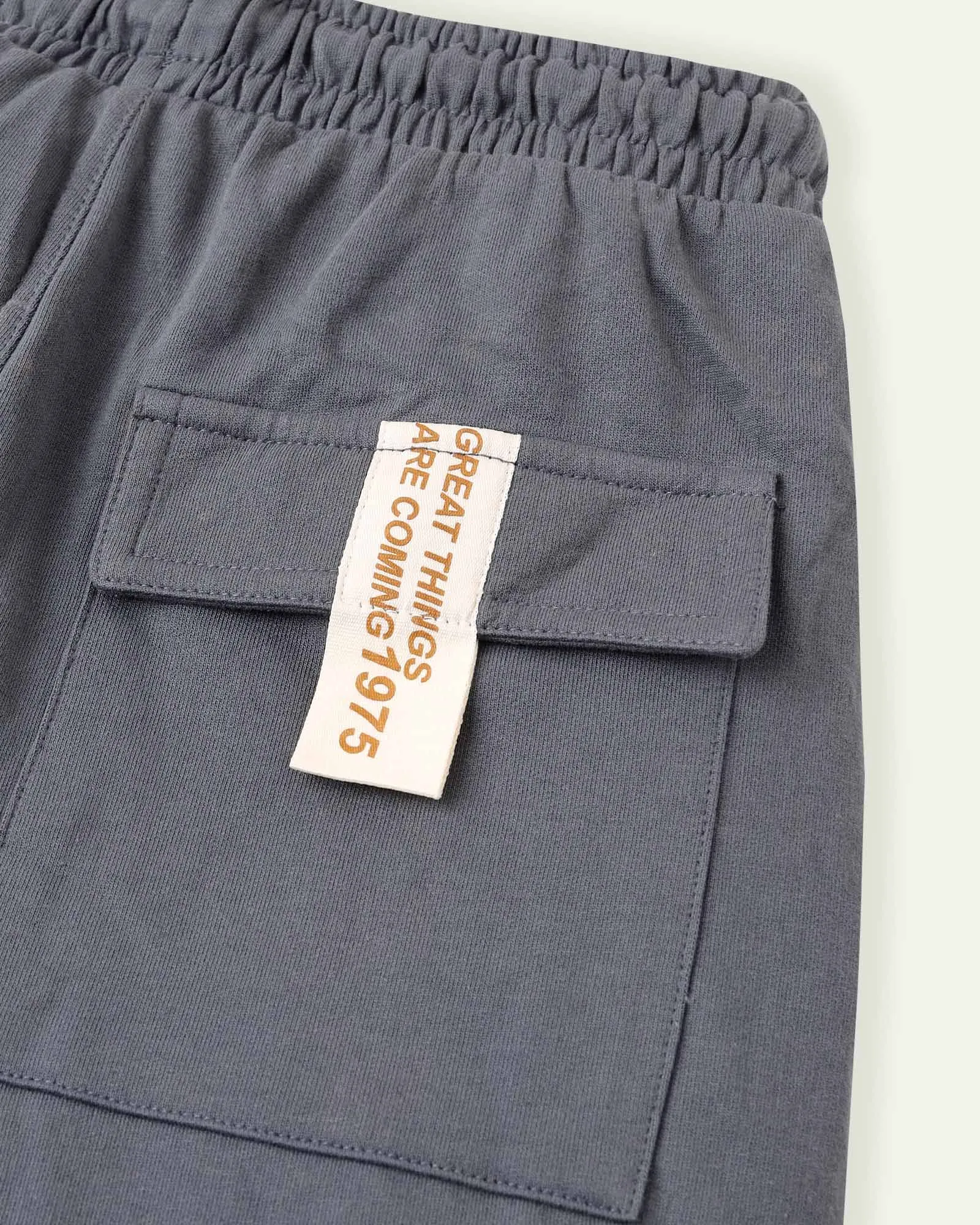 Great Things Coming Cargo Pants